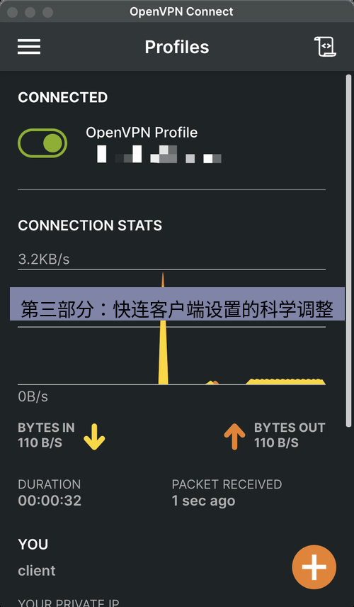 快连VPN 第三部分：快连客户端设置的科学调整