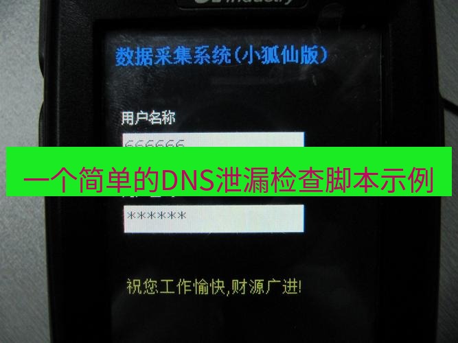 快连VPN 一个简单的DNS泄漏检查脚本示例