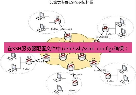 快连VPN 在SSH服务器配置文件中 (/etc/ssh/sshd_config) 确保：